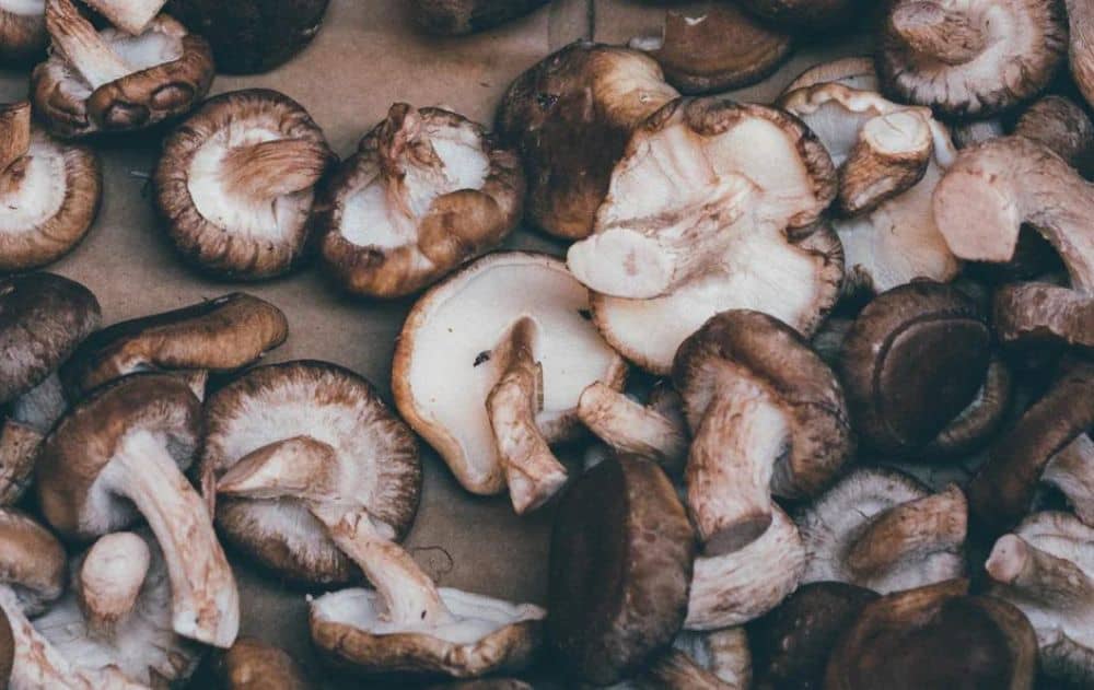 bone tea soup mushrooms on a cutting board