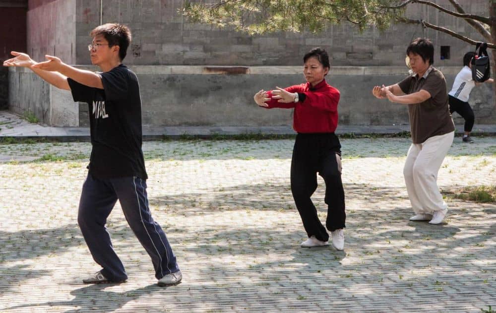 People practicing tai chi under a tree
