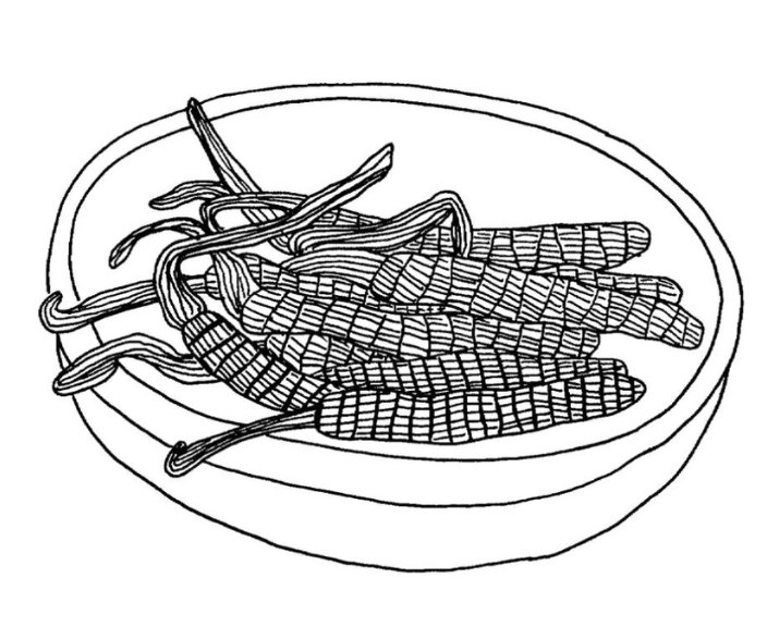 Illustration of Cordyceps